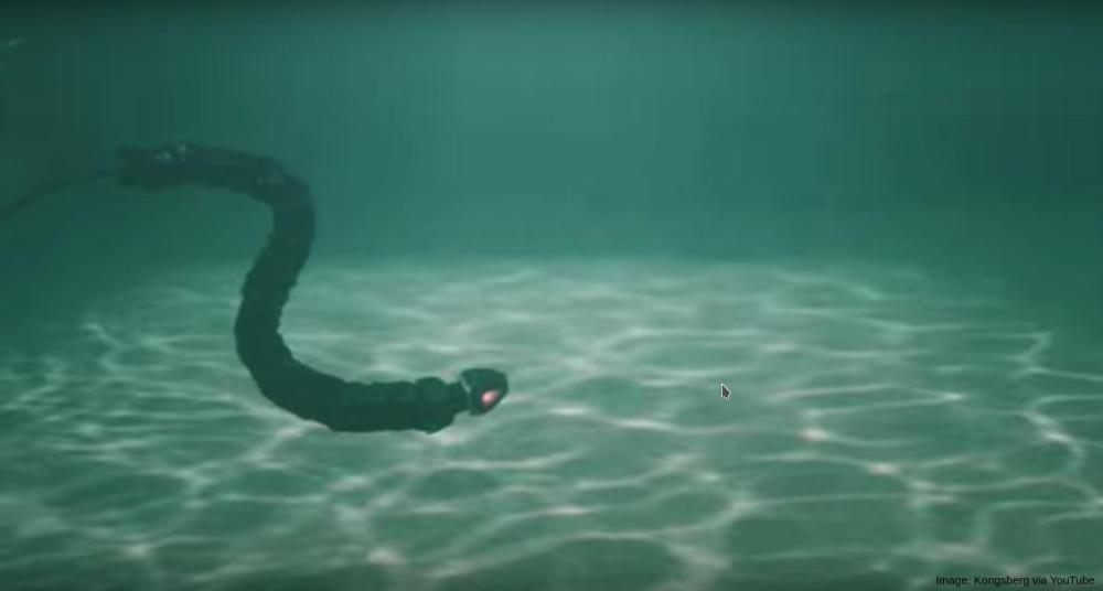 Swimming snake robot